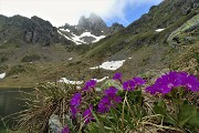 Anello Laghi di Ponteranica-Monte Avaro dai Piani il 3 giugno 2020  - FOTOGALLERY